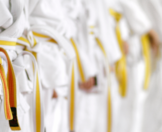 LSS Arkansas-Lean Six Sigma Yellow Belt LSS Arkansas-Lean Six Sigma Yellow Belt